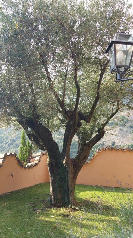 La Codarda Country House Pescosolido Εξωτερικό φωτογραφία